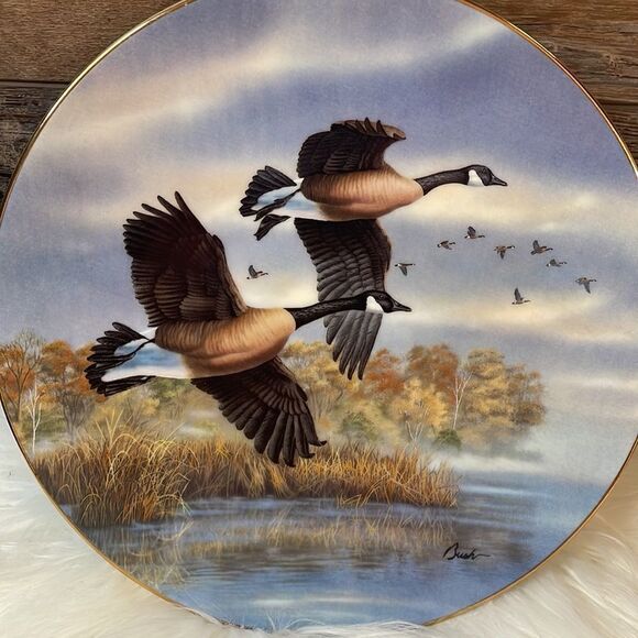 Darrell Bush “Golden Flight:Canada Geese Collector’s Plate Plate#6874B - Picture 6 of 6